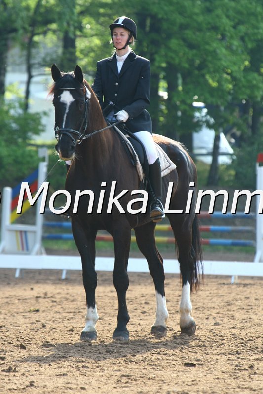 104M5244_Eldorado_Dressur E.JPG